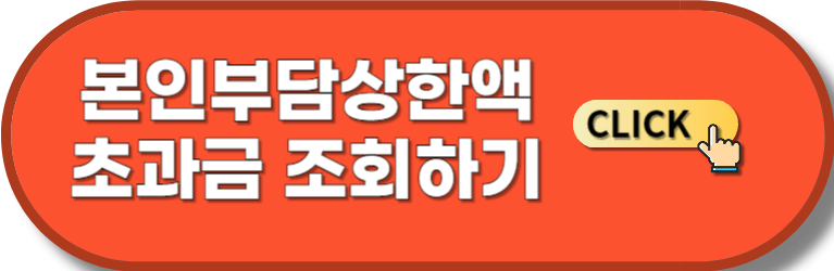 본인부담상한액 초과금 조회하기