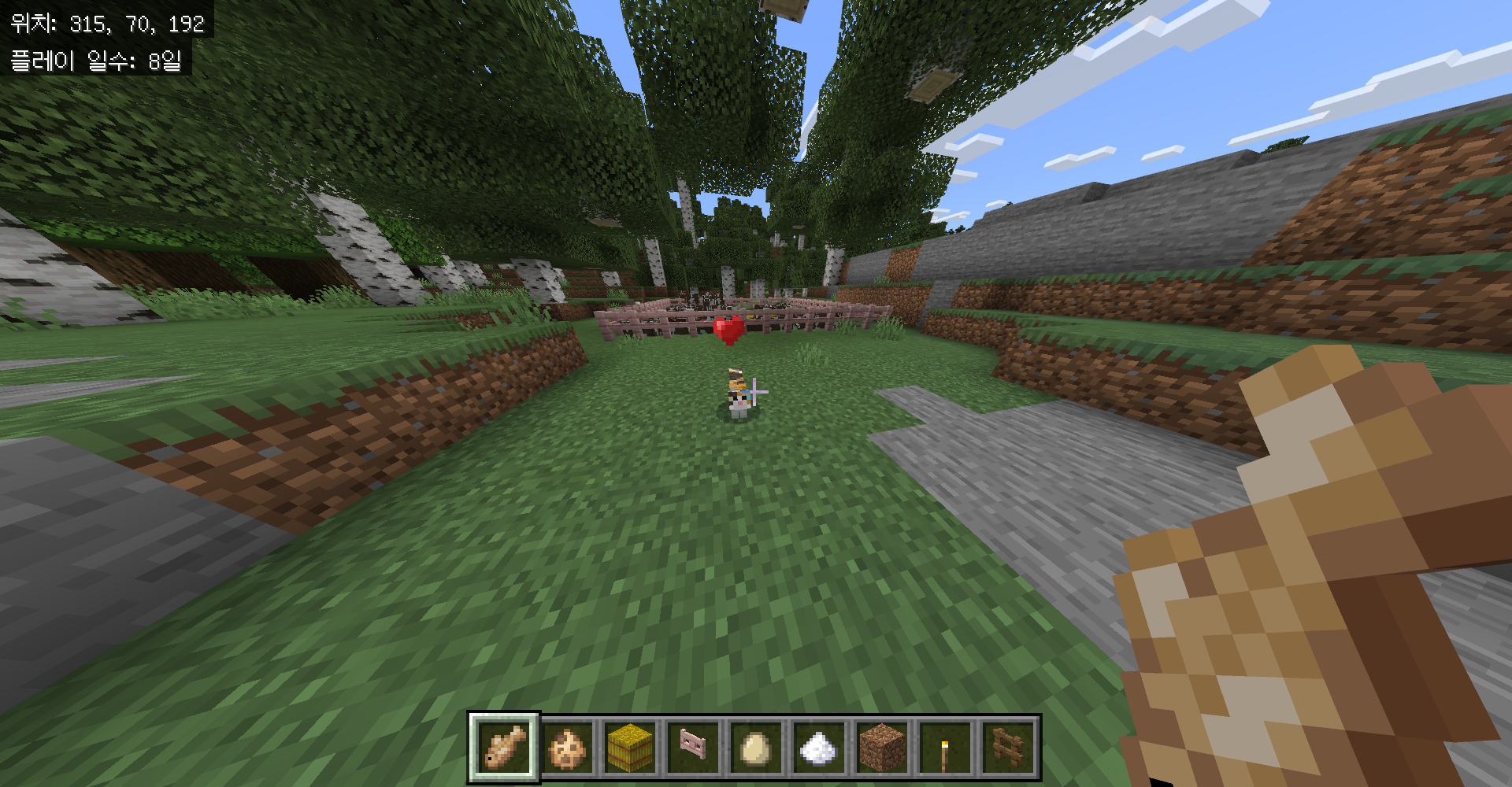 마인크래프트 고양이