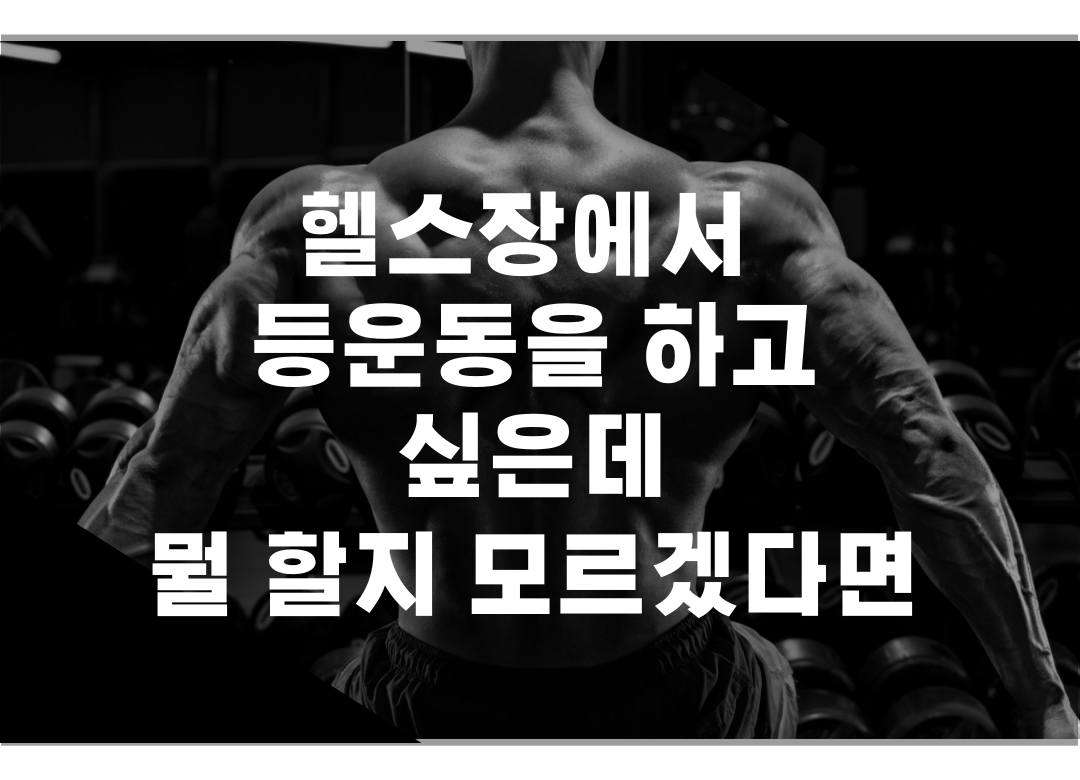 등운동 등근육