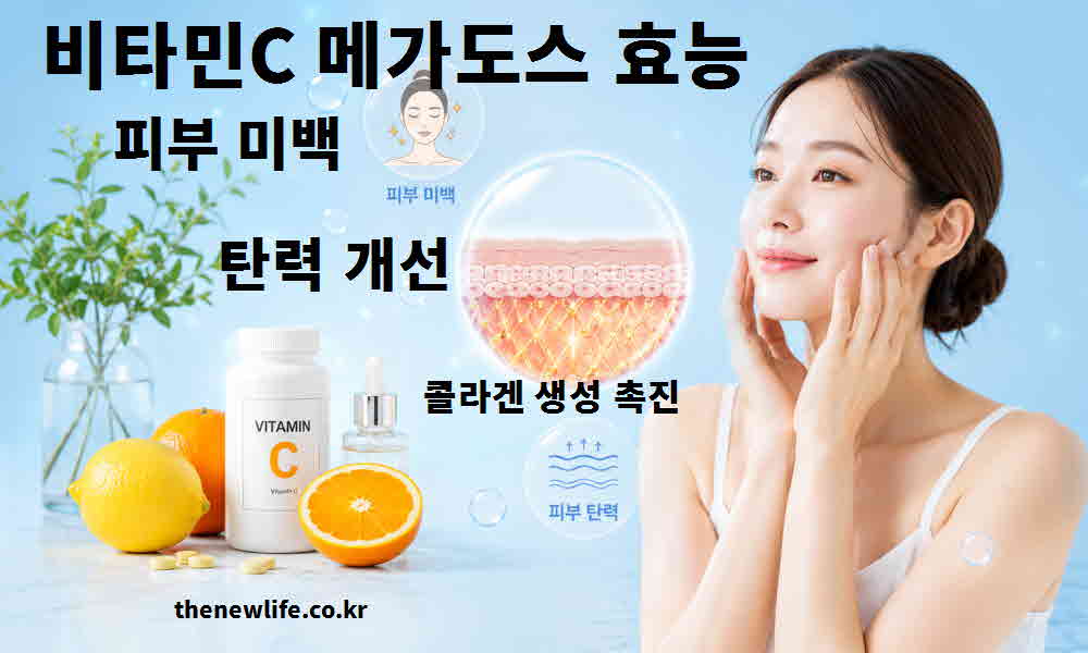 비타민C 메가도스 효능 피부 미백 탄력 개선
