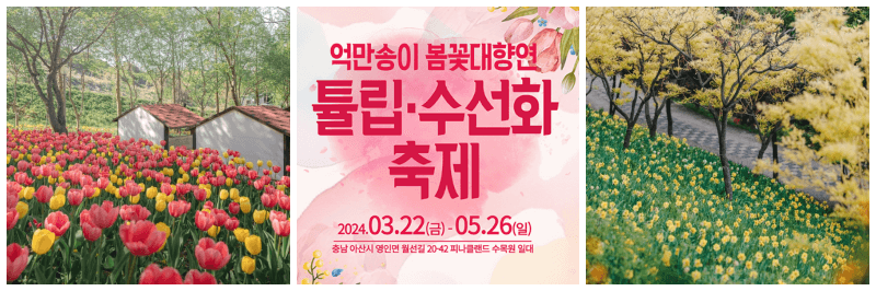억만송이 봄꽃대향연 튤립 수선화 축제 포토, 포스터