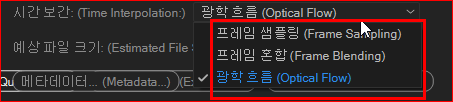 시간보간(Time Interpolation)옵션