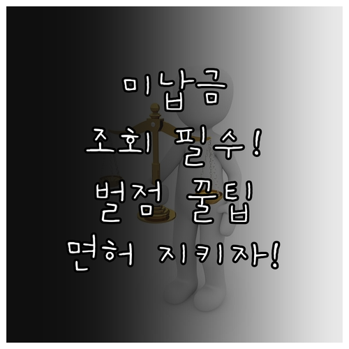 이파인으로 미납 과태료 범칙금 조회 ..