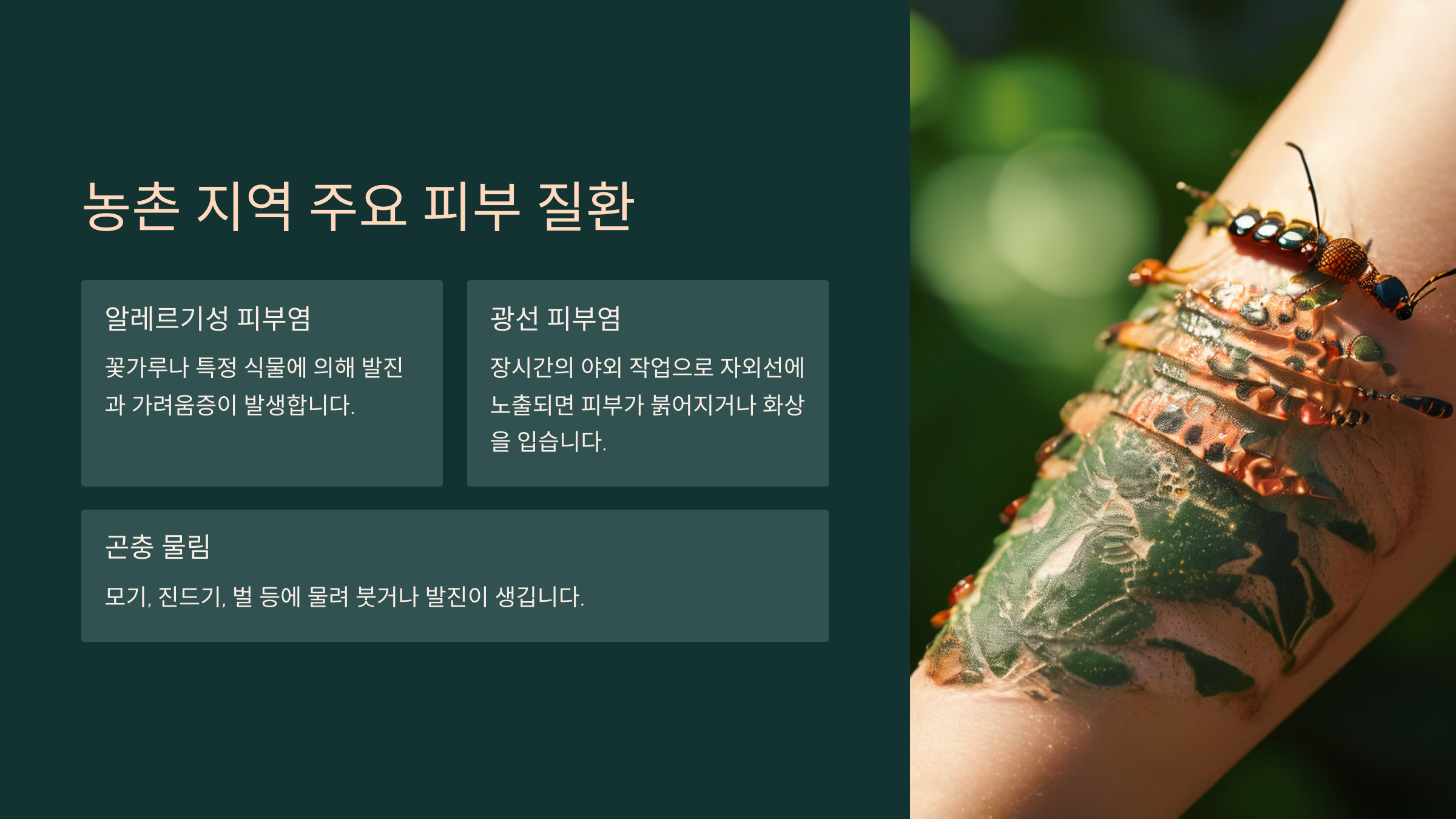 농촌 지역 주요 피부 질환