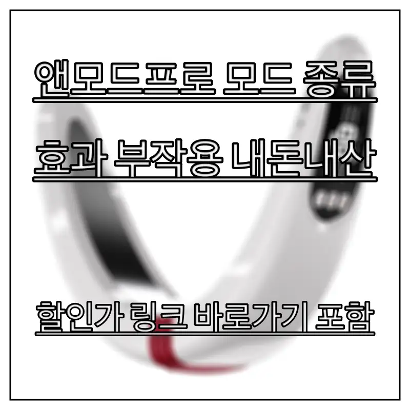 앤모드프로-모드-종류-사용법을-알아보는-모습