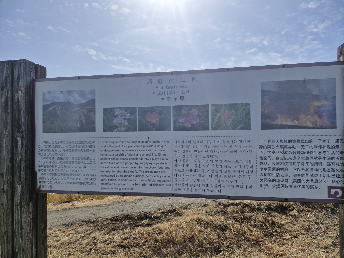 후쿠오카 여행기 # 3일차 아소산 관광가이드