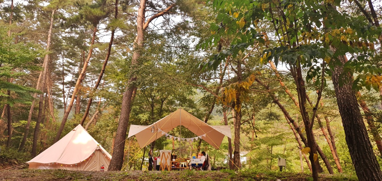 강원도-영월-캠핑장-숲속의-작은집