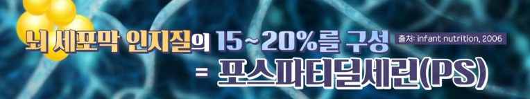 포스파티딜세린