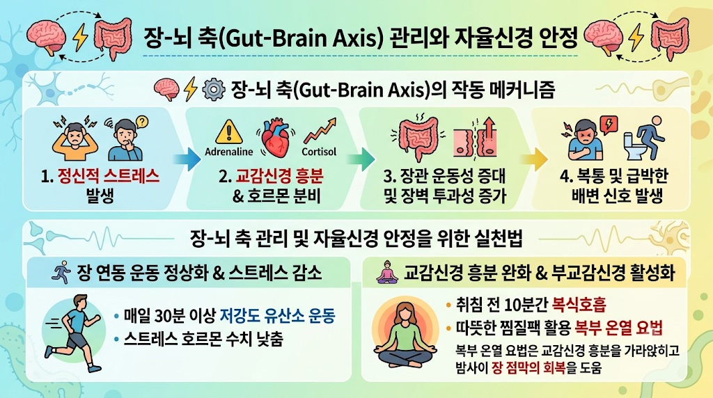 장-뇌 축(Gut-Brain Axis) 관리와 자율신경 안정