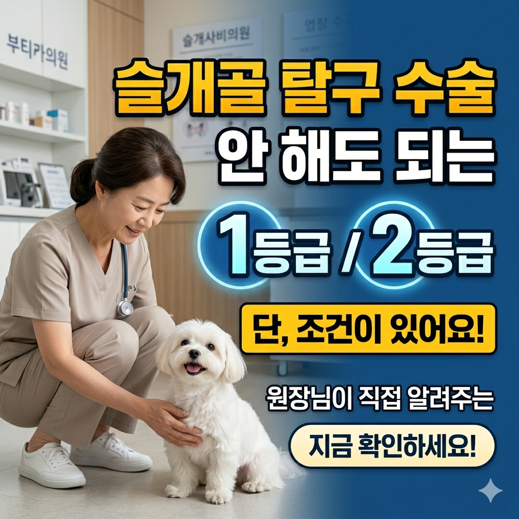 슬개골 탈구 수술 안 해도 되는 등급 있어요, 단 조건이 있어요