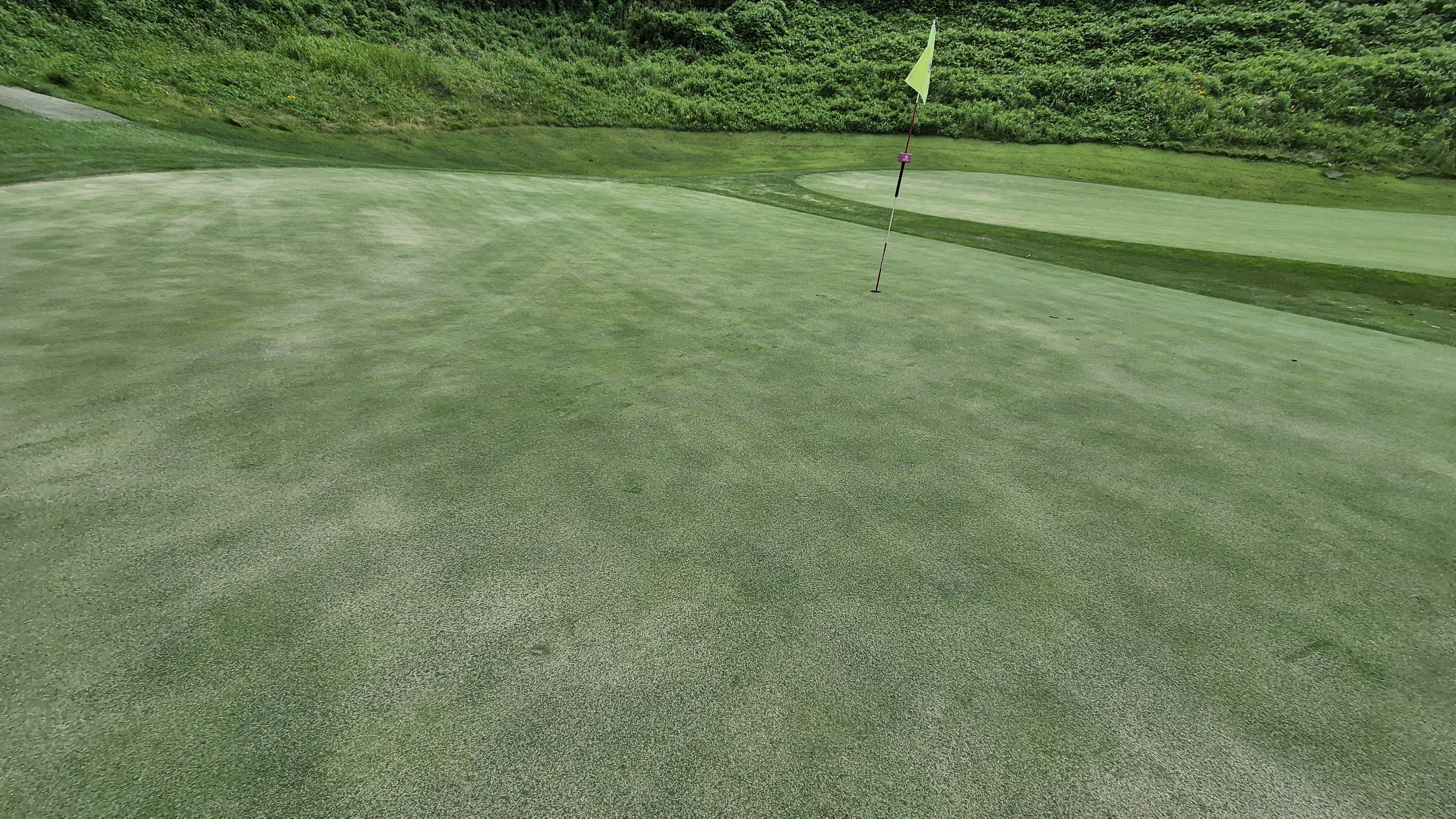 참밸리cc 라운드 후기