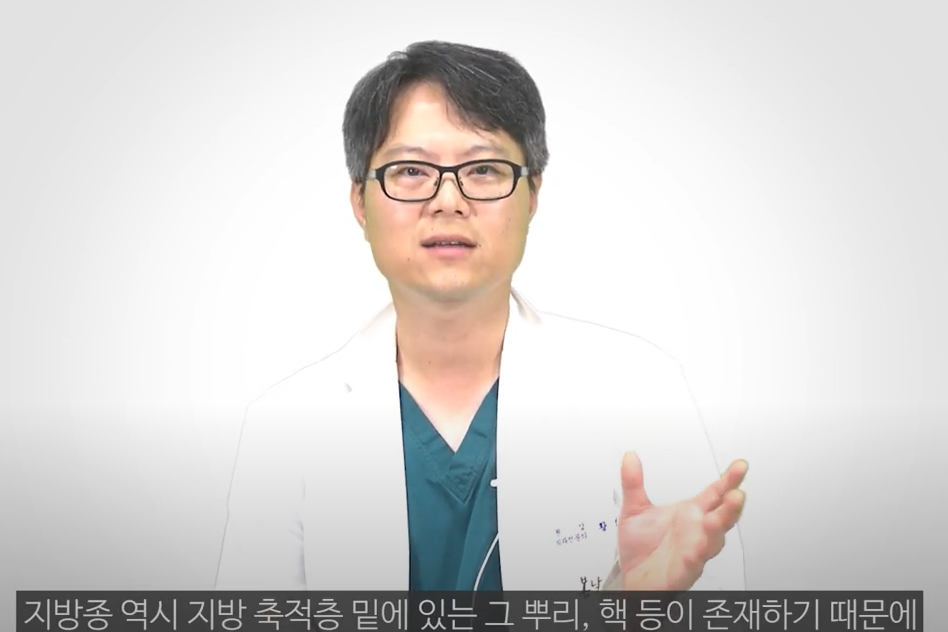 지방종 제거수술 및 7가지 원인 (+ 수술 비용 보험 통증 피부과)