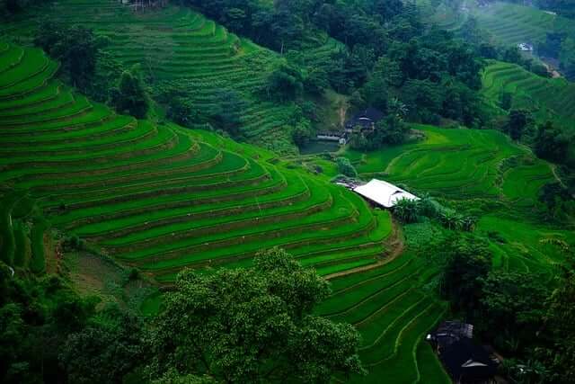 농업경영체등록 확인서 발급방법