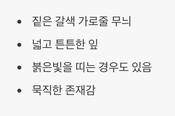 호랑이 무늬의 야성미, 타이거