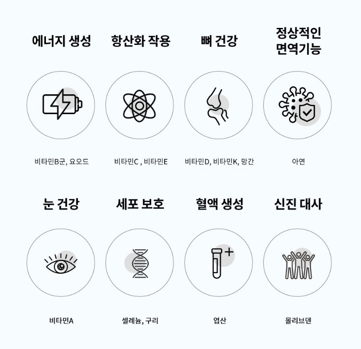 종합(멀티)비타민 추천 순위 TOP 5