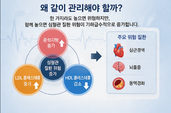 고지혈증 vs 중성지방 차이, 반드시 같이 관리해야 하는 이유