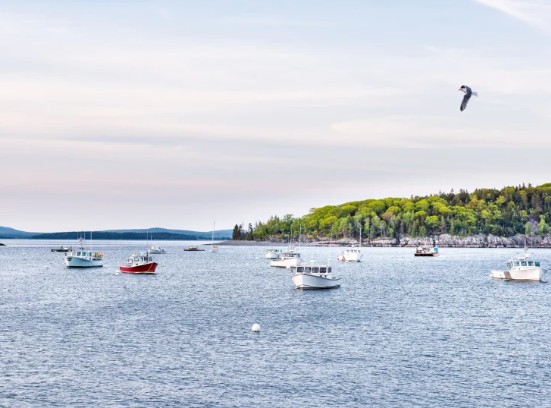 가성비 미국 여행지 추천 바 하버