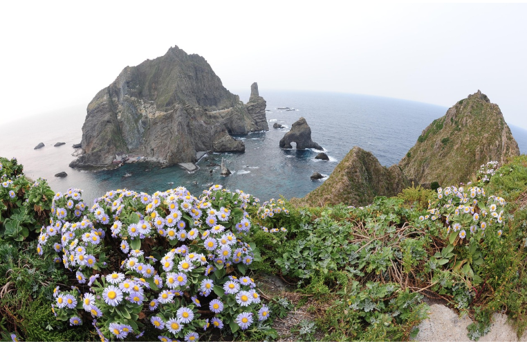 한국의 숨겨진 해변 여행: 울릉도, 완도, 고흥