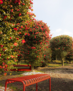 제주도 동백꽃 명소 best 5