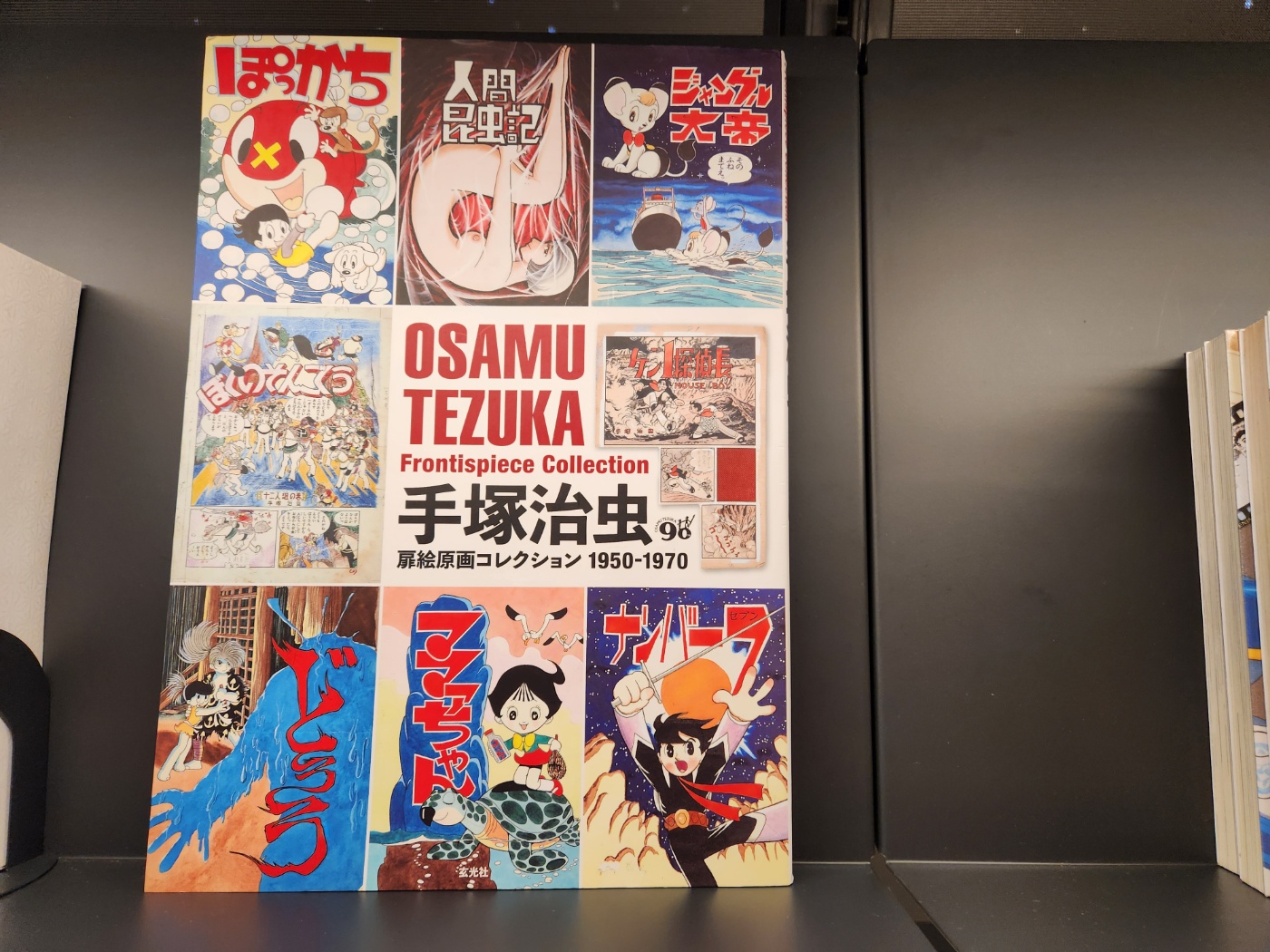 그래픽바이대신