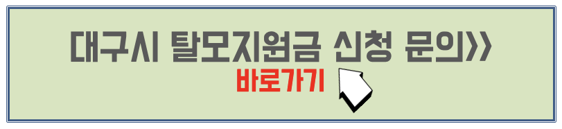 대구시 탈모지원금 문의 홈페이지