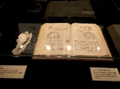 진격의 거인전에 전시된 아르민의 책