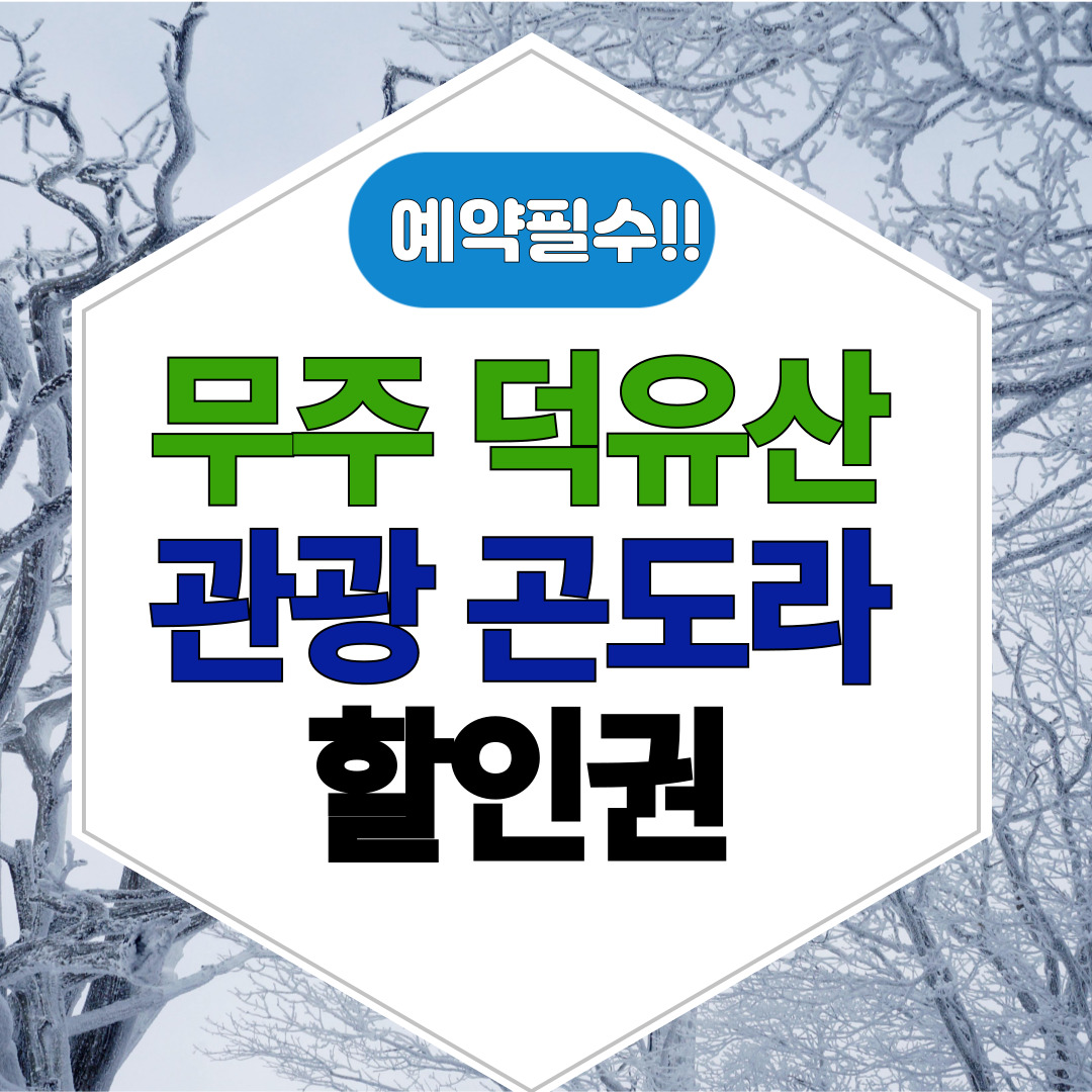 덕유산 케이블카 예약