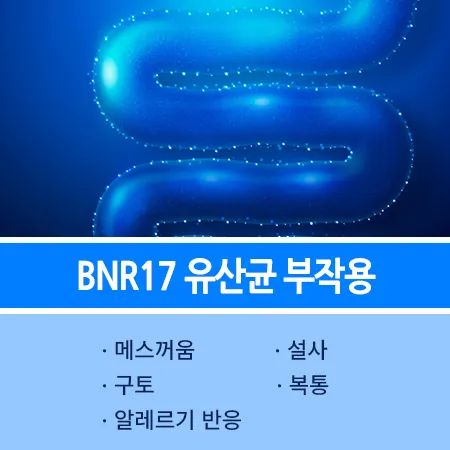 BNR17 유산균 부작용