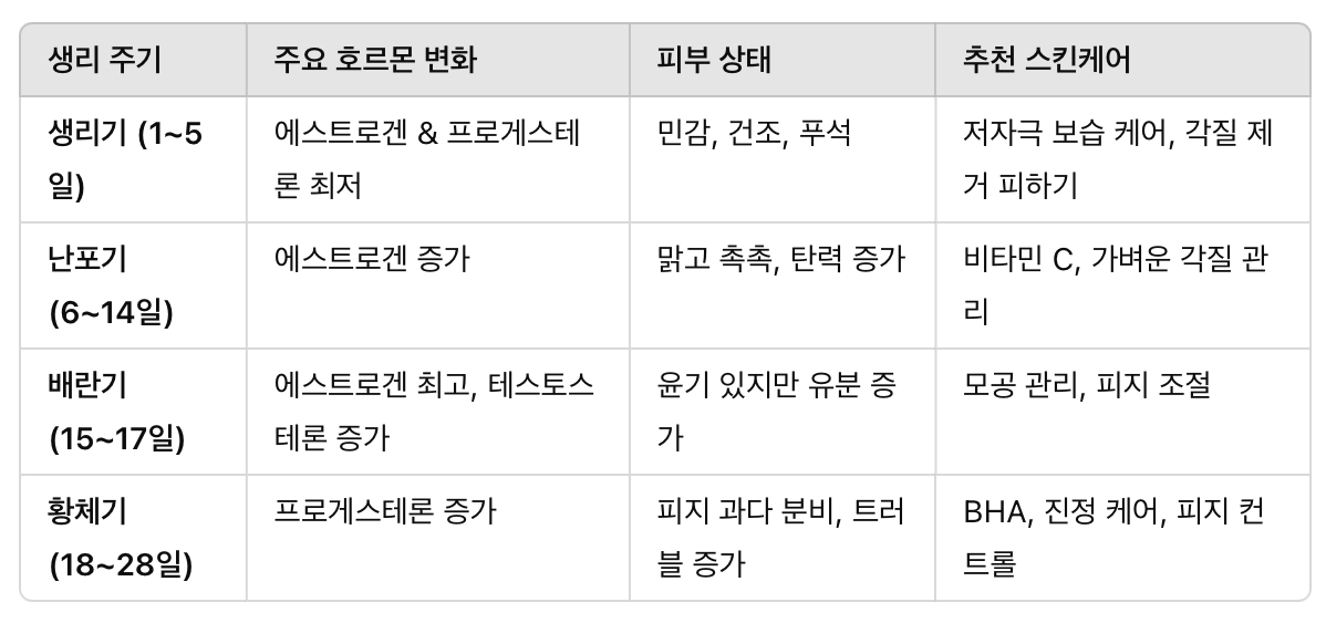 생리 주기에 따른 피부 변화 요약 정리