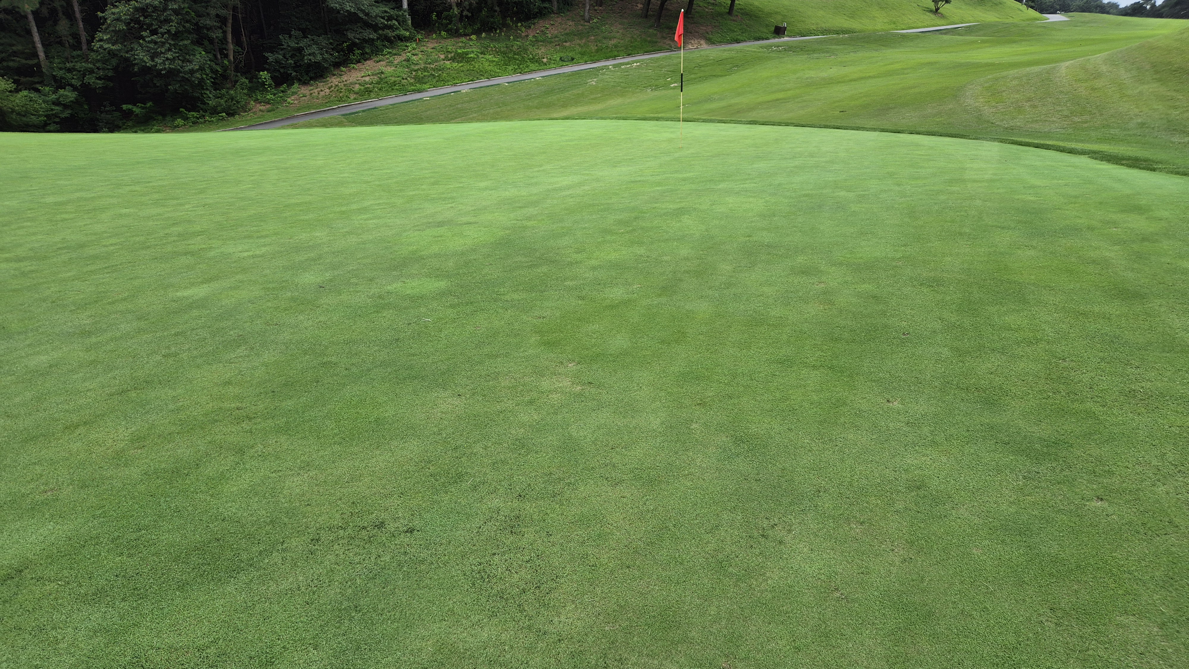 한림용인cc 다이아몬드-사파이어 코스 라운드 후기