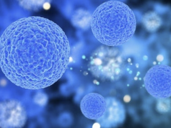 비타민d 효능 22