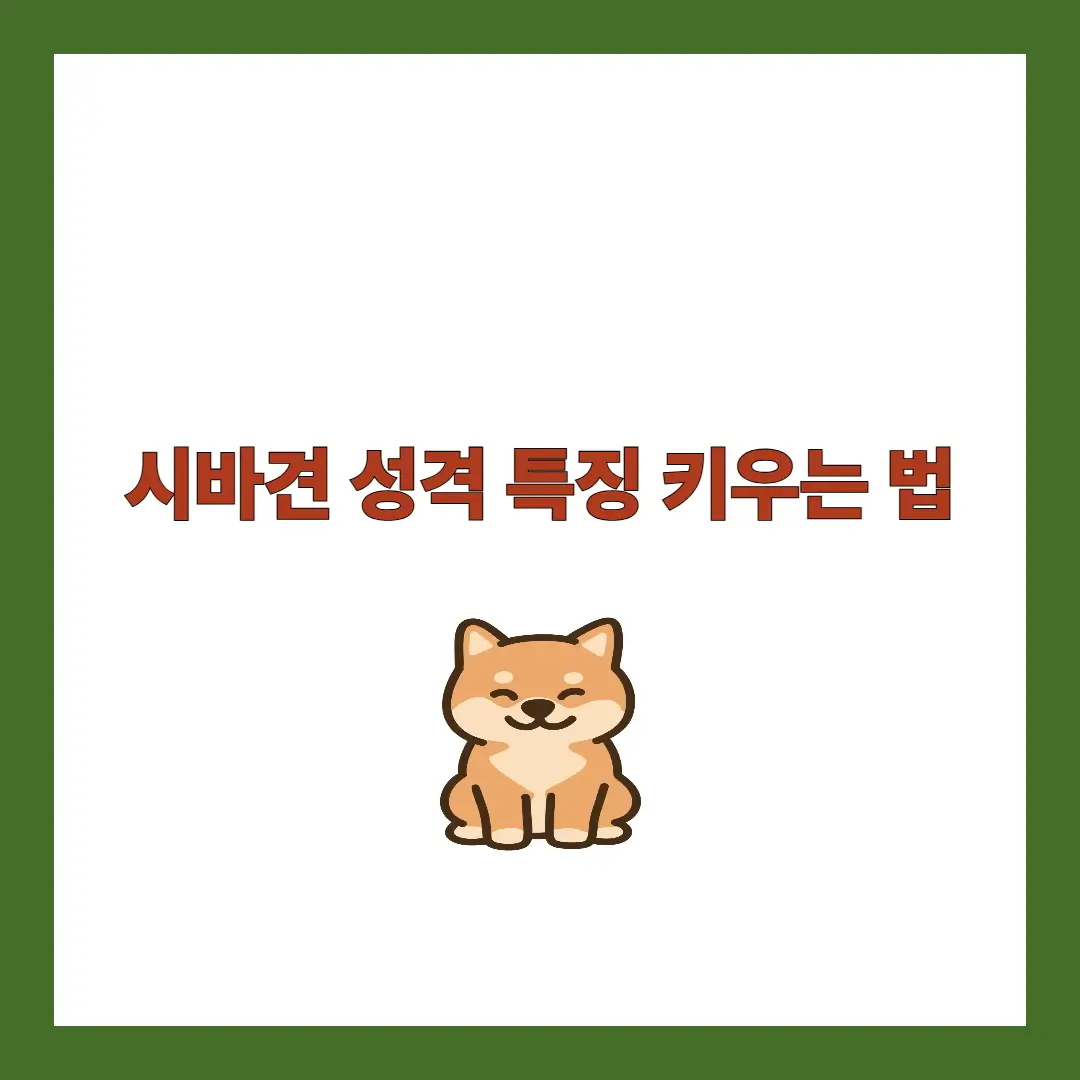 시바견 성격