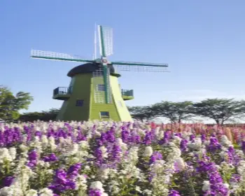 순천만 국가정원_17