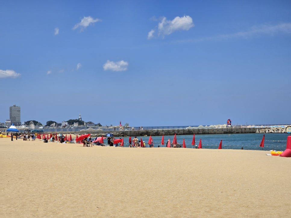 국내 해수욕장 개장일