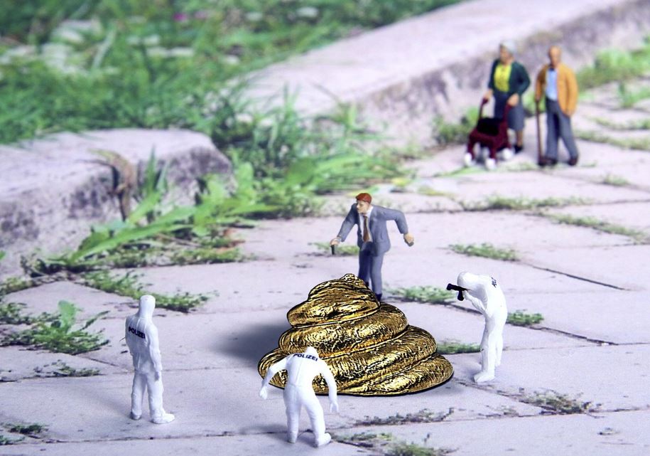 똥(똥꿈) 꿈해몽 총정리 -상황별 20가지(최신)