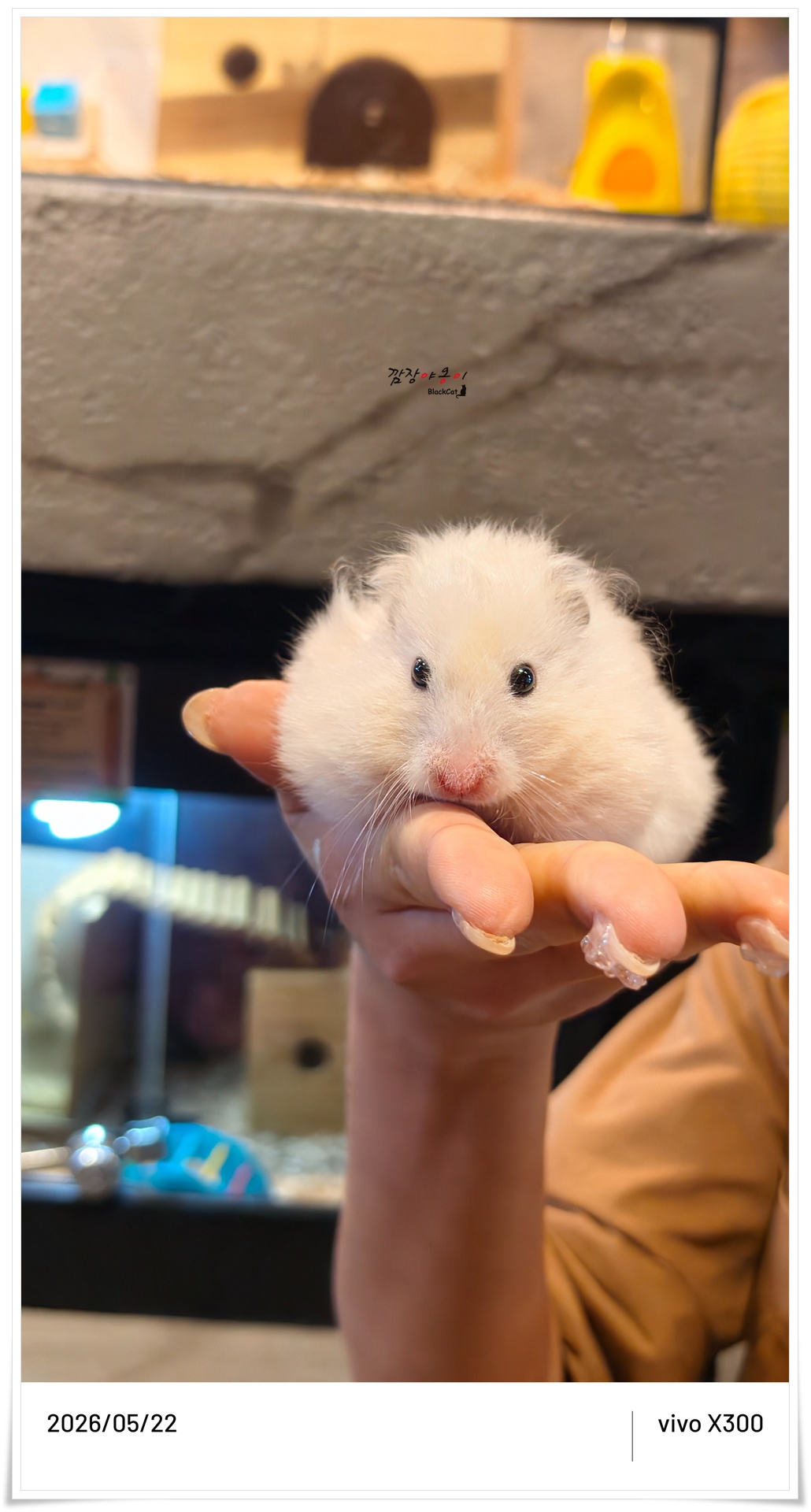 모모쥬 파충류관에서 사육사가 뱀과 도마뱀을 설명하는 모습