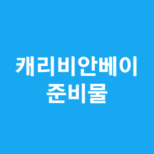 캐리비안베이 준비물
