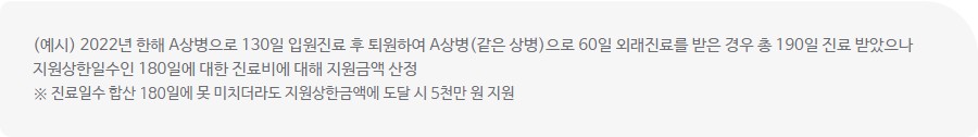 재난적의료비 지원사업 (2)