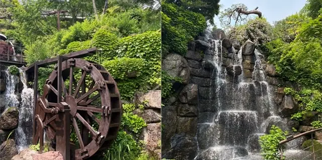 화담숲, 자연과 대화하는 힐링 트래블 가이드