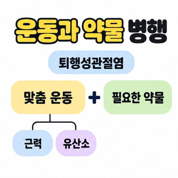 퇴행성관절염에서 맞춤 운동과 필요한 약물을 더하기 기호로 연결하고 운동 아래에 근력과 유산소를 나눈 병행 치료 도식