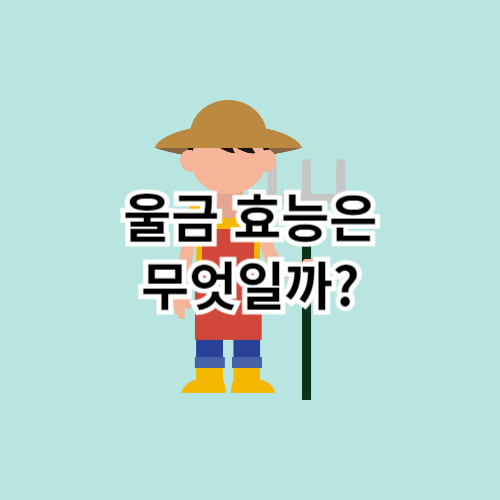울금-효능은-무엇일까
