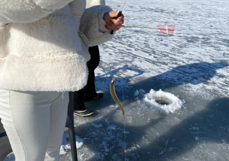 양평 산수유마을 빙어축제