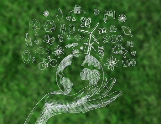 환경 보존과 사회문화 이해하기