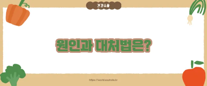 눈이 붓는 증상 (+부기 원인 총정리)