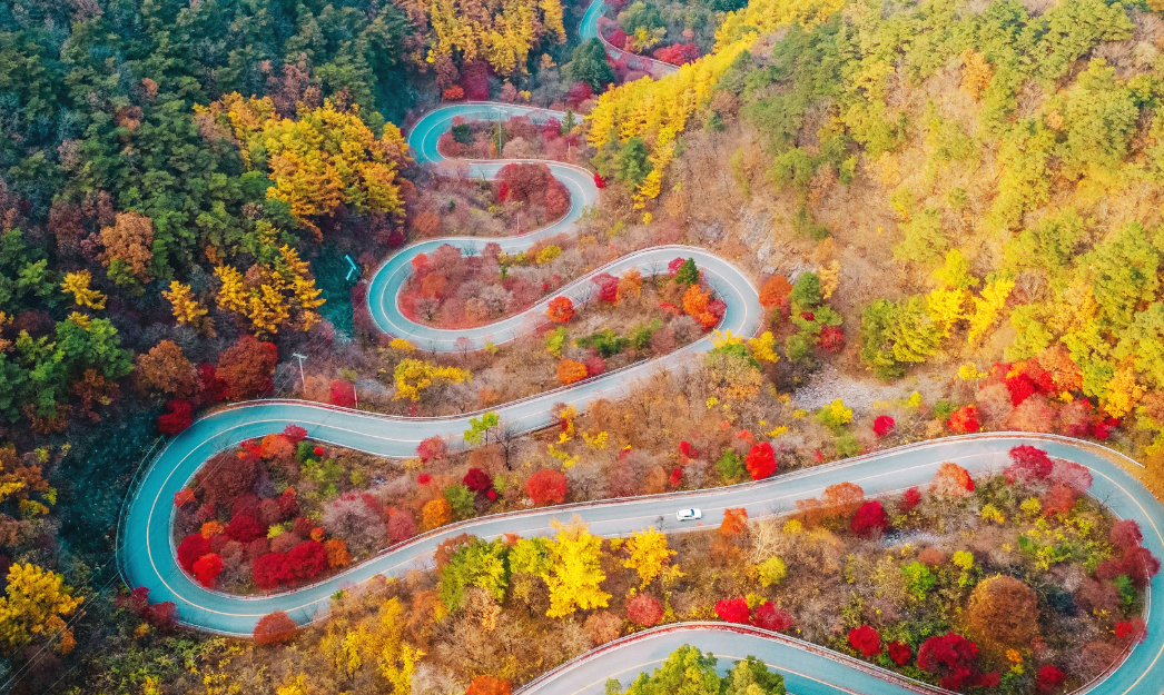 단양 보발재