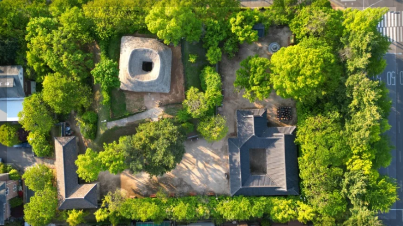 밤리단보넷길밤가시초가