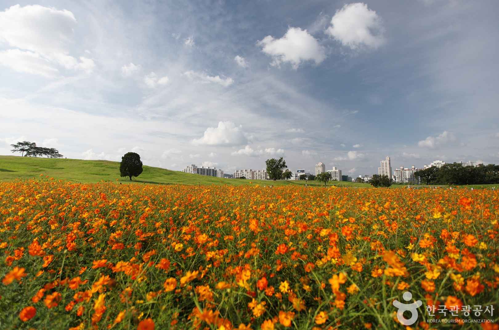 서울 올림픽공원