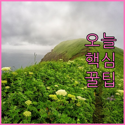 채무 고민 끝 대학생 개인회생으로 새