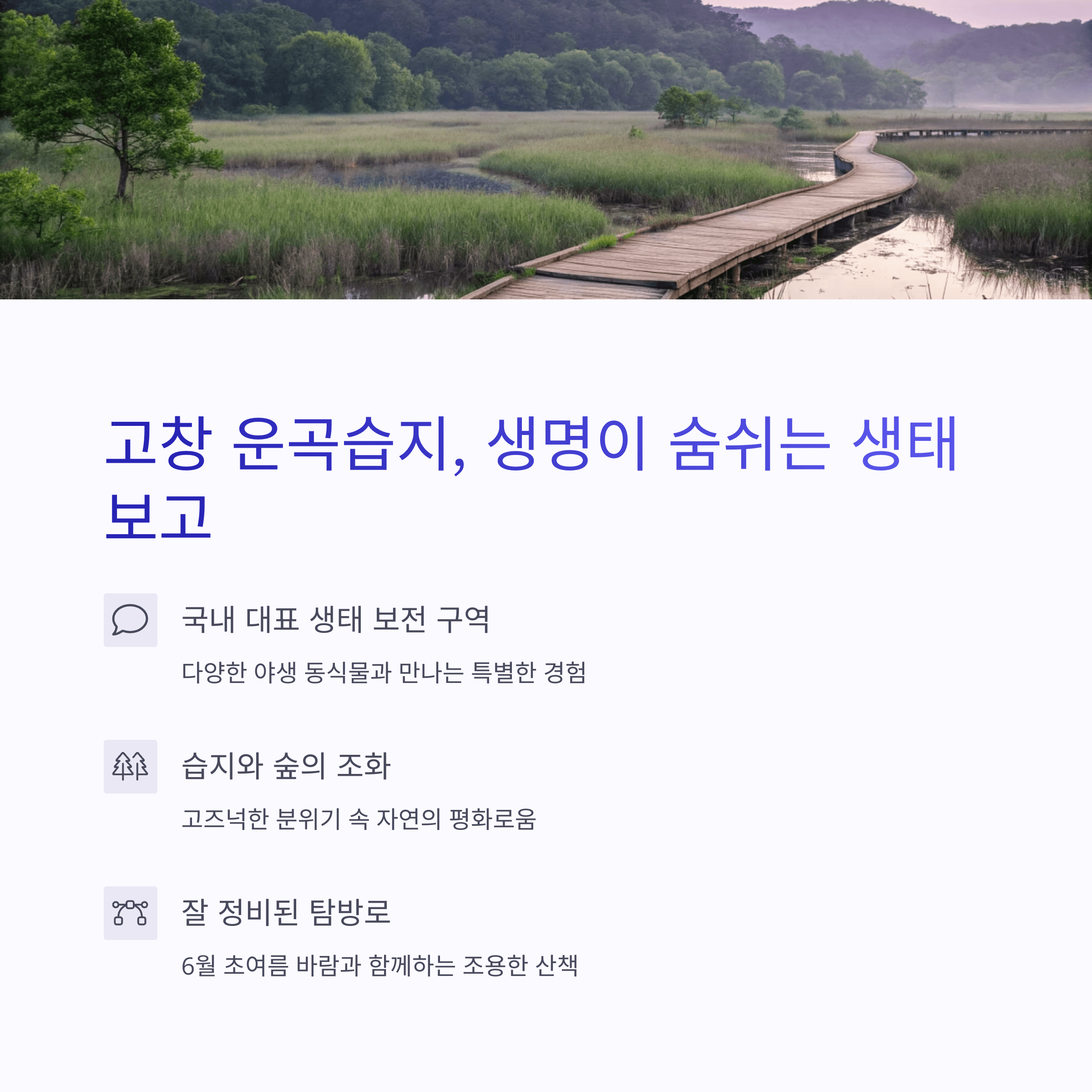 고창 운곡습지의 나무 데크길과 초록빛 숲이 어우러진 생태 풍경