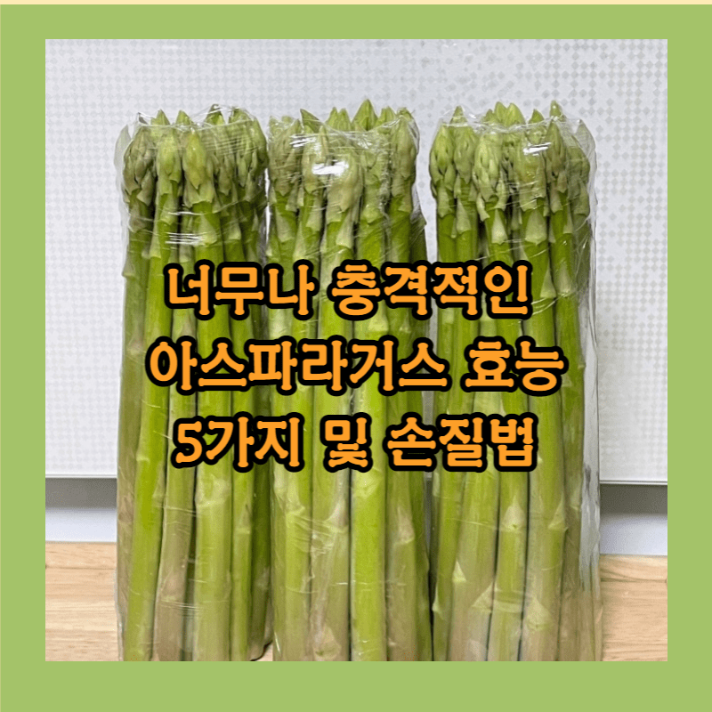 아스파라거스 효능